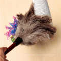 23" Ostrich Feather Duster with Wooden Handle